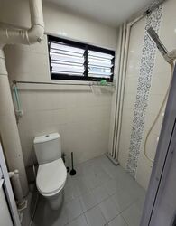 Blk 244 Hougang Heights (Hougang), HDB 4 Rooms #571116281